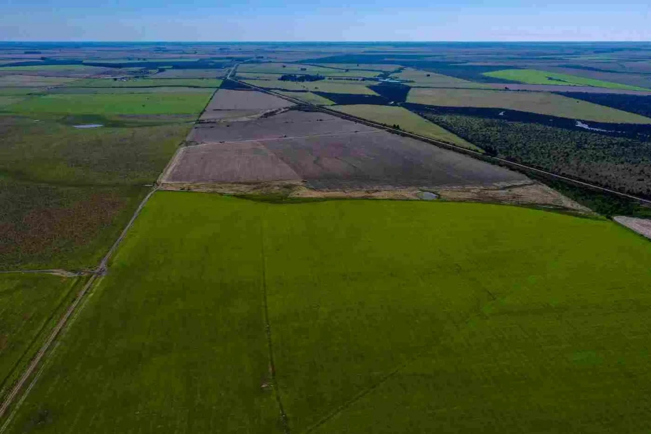 Vista aérea de campos agrícolas